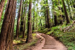 Discover the Beauty: Exploring North America’s Top Scenic Spots