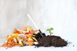 The Ultimate Guide to Creating a Zero Waste Household